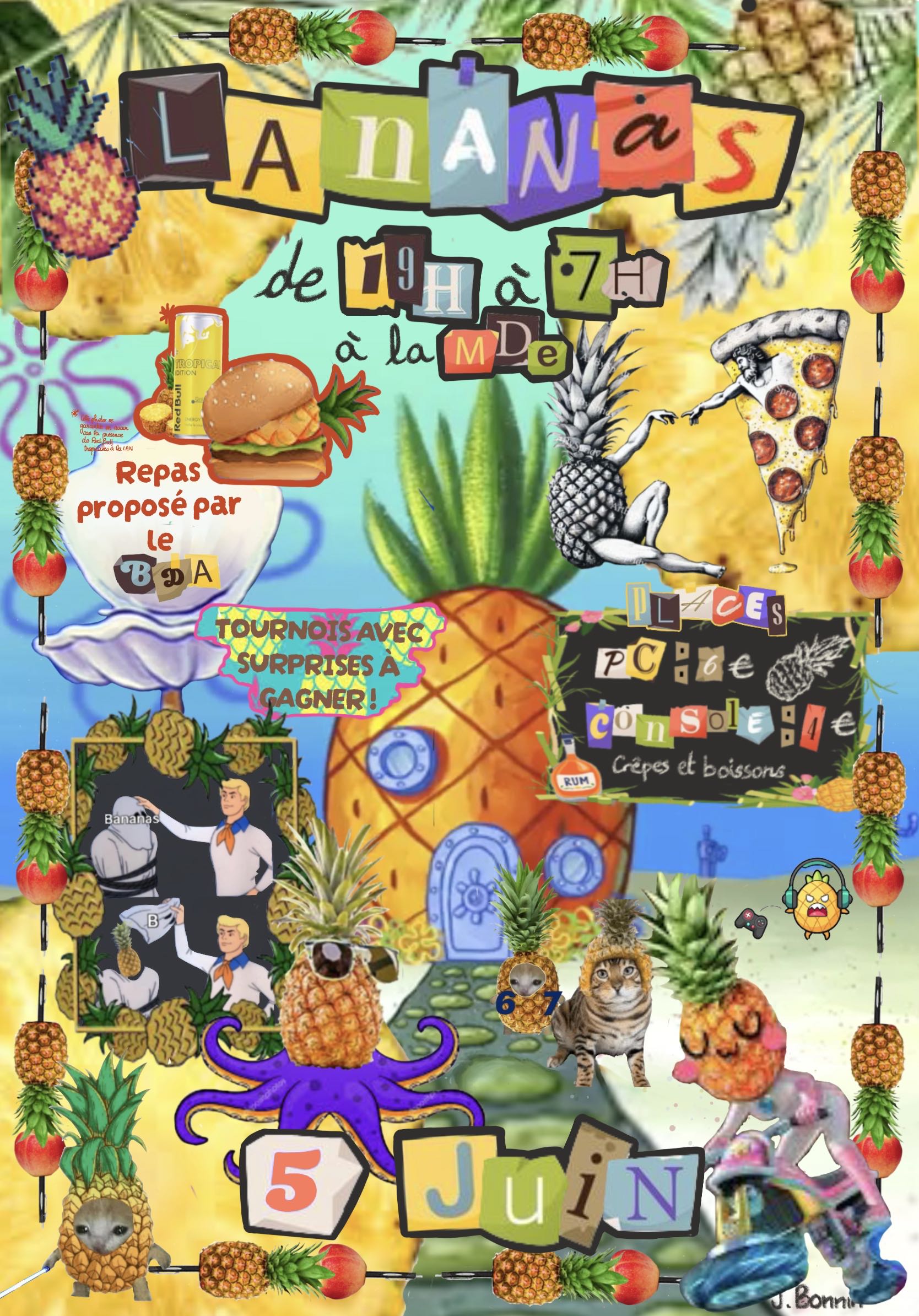 Affiche LAN